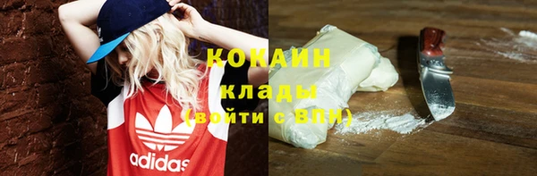 молекула духа Белокуриха