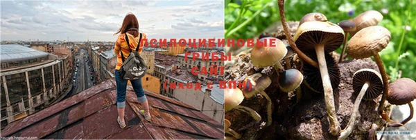 мет Беломорск