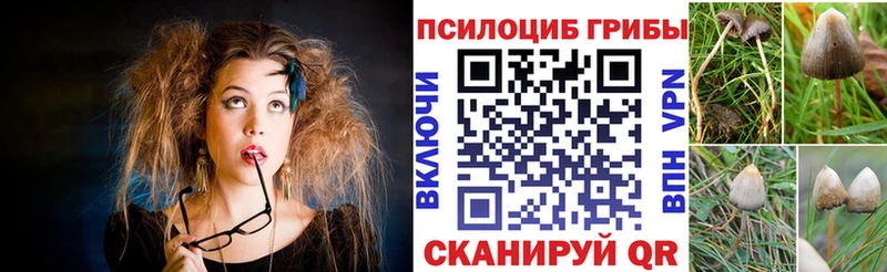 Галлюциногенные грибы Psilocybine cubensis  где продают наркотики  Горняк 